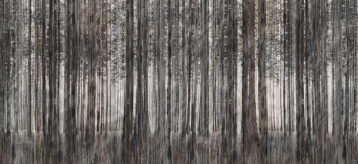 Carta Da Parati Robin Hood - Inkiostro Bianco - immagine 4