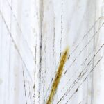 Carta Da Parati Messi - Inkiostro Bianco - immagine 2