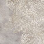 Carta Da Parati Fossil - Inkiostro Bianco - immagine 4