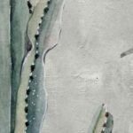 Carta Da Parati Cereus - Inkiostro Bianco - immagine 2