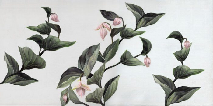 Carta Da Parati Medinilla - Inkiostro Bianco - immagine 2
