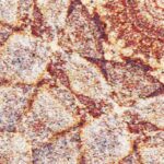 Carta Da Parati Persian sand 2018 - Inkiostro Bianco - immagine 2