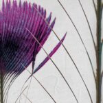Carta Da Parati Pluma De Pavo 2018 - Inkiostro Bianco - immagine 3