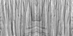 Carta Da Parati Marble Curtain - Inkiostro Bianco - immagine 3