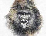 Carta Da Parati Wild - Inkiostro Bianco - immagine 3
