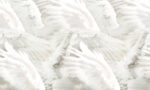 Carta Da Parati Wings - Inkiostro Bianco - immagine 3