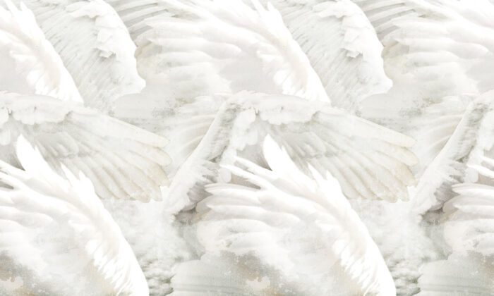 Carta Da Parati Wings - Inkiostro Bianco - immagine 3