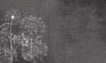 Carta Da Parati Wind Flowers Dark - Adriani&Rossi
