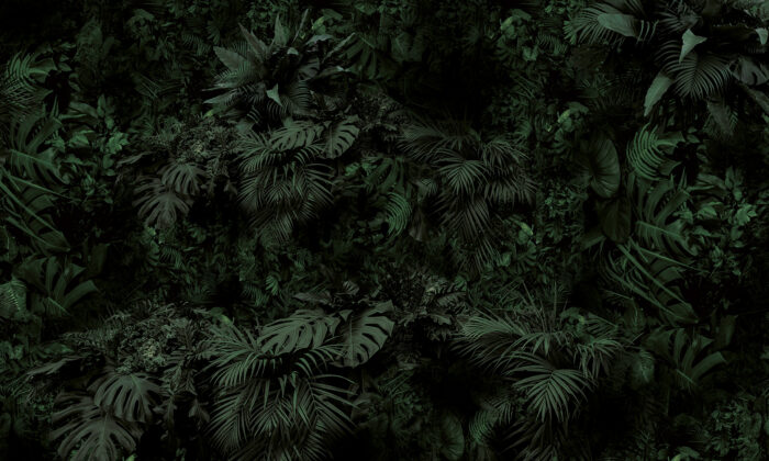 Carta Da Parati Dark Green- Adriani&Rossi - immagine 2